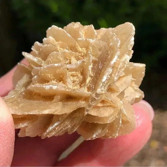 Gypsum Crystal Desert Rose - Picture 2 of 6